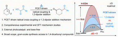 Graphical abstract: Deciphering the concerted PCET/decarboxylation pathway in photocatalyst-free acylation of activated alkenes to 1,4-dicarbonyls