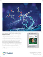 Graphical abstract: Back cover