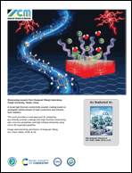 Graphical abstract: Back cover