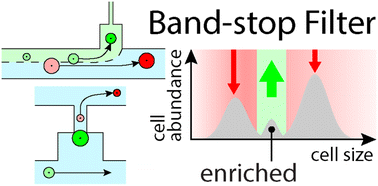 Graphical abstract: Band-stop microfluidics for high-purity, label-free enrichment of viable cancer cells from whole blood