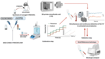 Graphical abstract: Integrated microfluidic platform based on potentiometric Sonogel-Carbon sensors for the simultaneous determination of Na+ and K+ in untreated human plasma and serum
