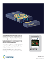 Graphical abstract: Back cover