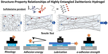 Graphical abstract: Mechanical and interfacial properties of zwitterionic hydrogels via a high-entanglement network design: a study of monomer and crosslinker synergy