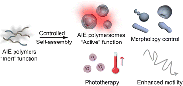 Graphical abstract: Polymersomes with aggregation-induced emission: synthesis, self-assembly, and biomedical applications