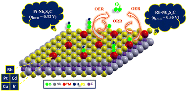 Graphical abstract: Transition metal-embedded Nb2S2C as a high-performance bifunctional electrocatalyst for the OER and ORR: insights from DFT simulations