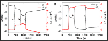 Graphical abstract: Self-assembly, wet adhesion, and mineralization of Balcp20k-P3 derived from Balanus albicostatus cement