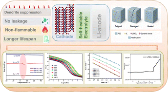 Graphical abstract: Self-healable bio-based solid polymer electrolytes incorporating ionic liquids for safer lithium–ion batteries