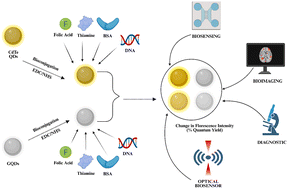 Graphical abstract: Ligand specific bioconjugation induced modulation of quantum yield in CdTe and graphene quantum dots
