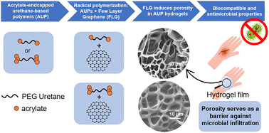 Graphical abstract: Graphene-assisted porosity in acrylate-endcapped urethane-based hydrogels for biomedical applications