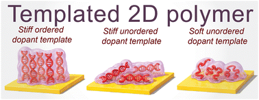 Graphical abstract: The influence of tethered dopant templates on the electrochemical, nanomorphological, and nanomechanical properties of 2D conductive polymer films