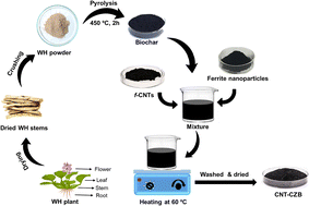 Graphical abstract: Carbon nanotube incorporated magnetic biochar derived from water hyacinth for chromium removal from tannery effluent