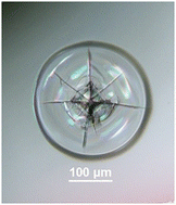 Graphical abstract: Indentation of glasses that produce a boundary-forming annular crack