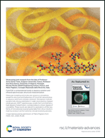 Graphical abstract: Back cover