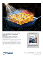 Graphical abstract: Back cover