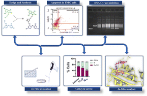 Graphical abstract: Triclosan–isatin hybrids as potent anti-proliferative agents inducing S-phase arrest via DNA gyrase inhibition in triple-negative breast cancer
