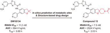 Graphical abstract: Design, synthesis and pharmacological evaluation of 3H-spiro[benzofuran-2,4′-piperidine] IRAK4 inhibitors for the treatment of diffuse large B-cell lymphoma