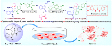 Graphical abstract: Regioselective triclocarban-catalyzed synthesis of spiroindeno- and spirooxindolo-pyrrolizidines with apoptosis induction in MCF-7 cells