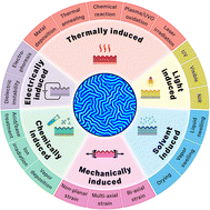 Graphical abstract: Navigating the labyrinth of isotropic wrinkling: design, fabrication, characterization, and applications