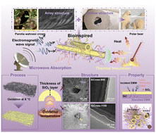 Graphical abstract: A dual-bioinspired structural design enables highly efficient microwave absorption and thermal insulation in SiC hybrid aerogels