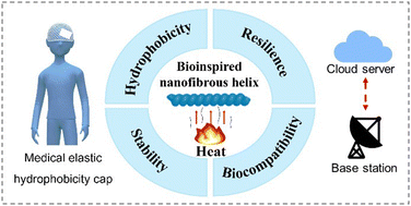 Graphical abstract: An elastic molecule–hierarchical topology–heat field synergy for a robust, multifunctional and integrated bioinspired nanofibrous helix