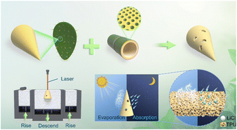 Graphical abstract: Bio-inspired 3D-printed TPU/LiCl hierarchical porous cones for high-performance atmospheric water harvesting