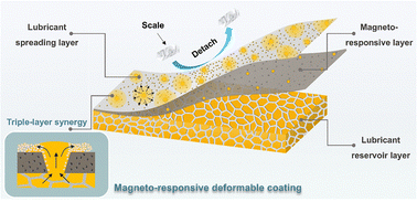 Graphical abstract: A magneto-responsive deformable coating with lubricant self-replenishment towards on-demand scale repellence