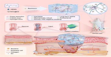Graphical abstract: Bacitracin-regulated injectable PHEMA hydrogels with intrinsic mild negative swelling for soft tissue repair