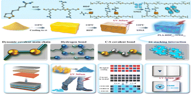 Graphical abstract: Synthesis of flame-retardant fluorescent supramolecular polymers for post-combustion fluorescent tracking, cryptographic applications, and eco-friendly invisible fluorescent inks