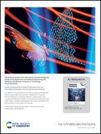 Graphical abstract: Inside back cover