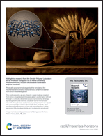 Graphical abstract: Back cover