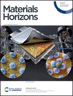 Graphical abstract: Inside front cover