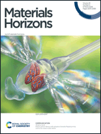 Graphical abstract: Inside front cover