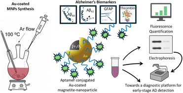 Graphical abstract: Biomarker-targeted functionalized magnetic nanoparticles: synthesis and aptamer conjugation optimization toward Alzheimer's disease biosensing