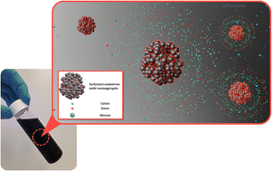 Graphical abstract: Surfactant-coated iron oxide nanoparticles synthesized by coprecipitation as potential phosphate adsorbents in peritoneal dialysis