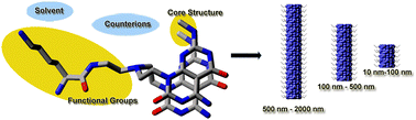 Graphical abstract: Tuneable structural and environmental factors for stability of rosette nanotubes