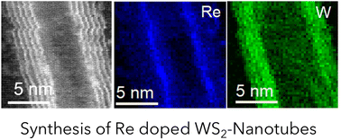 Graphical abstract: Synthesis and electrical characterization of rhenium-doped WS2 nanotubes