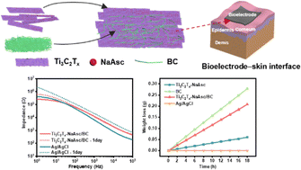 Graphical abstract: Breathable, biocompatible, long-term stability Ti3C2Tx bioelectrodes for real-time monitoring of electrophysiological signals