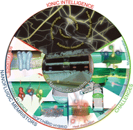 Graphical abstract: Nanofluidic systems for ionic intelligence