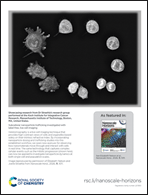 Graphical abstract: Back cover