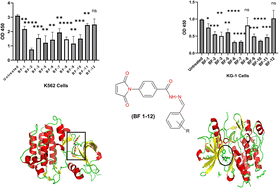 Graphical abstract: Synthesis, anticancer activity, and molecular docking studies of some maleimide derivatives
