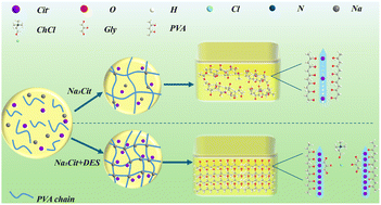 Graphical abstract: High-strength, anti-freezing and recyclable soy protein isolate/poly(vinyl alcohol) gels empowered by a deep eutectic solvent-augmented Hofmeister effect