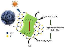 Graphical abstract: Effect of hydrothermal reaction time on defect- and strain-engineered few-layered MoS2 nanoflowers for tunable band gap and enhanced visible-light photocatalysis