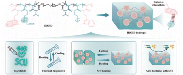 Graphical abstract: Injectable self-healing hydrogels based on cation–π interactions under physiological pH conditions