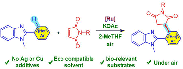 Graphical abstract: Sustainable ruthenium-catalyzed C–H alkylation of 2-(hetero)aryl benzimidazoles with maleimides