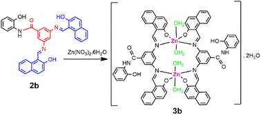 Graphical abstract: A naphthalene-based and hydroxyamide-functionalized hybrid Schiff base and its dimeric and dinuclear Zn(ii) complex: synthesis, structural and theoretical characterization, and optical, DPPH scavenging and in silico ADME properties