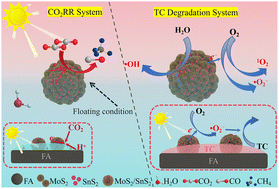 Graphical abstract: A floating triphase photothermal platform: MoS2/SnS2 on fly ash for efficient CO2 reduction and tetracycline degradation
