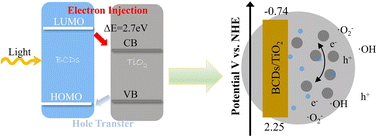 Graphical abstract: Harnessing the synergistic dual role of lignin-derived blue carbon dots over TiO2 for highly efficient solar photocatalytic degradation of tetracycline