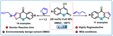 Graphical abstract: Reactivity study of 4-hydroxydithiocoumarin/4-hydroxythiocoumarin with vinyl ether/cyclic vinyl ether: synthesis of fused novel thiophene derivatives using CuO nanoparticles