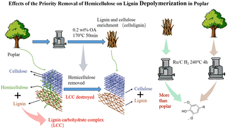 Graphical abstract: Enhancing lignin depolymerization in poplar by hemicellulose-first removal via oxalic acid pretreatment