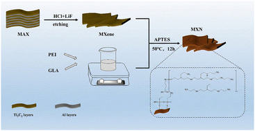 Graphical abstract: Facile preparation of polyethyleneimine functionalized MXene nanosheets for enhanced adsorption and reduction of Cr(vi) from aqueous solutions: behaviors and mechanisms
